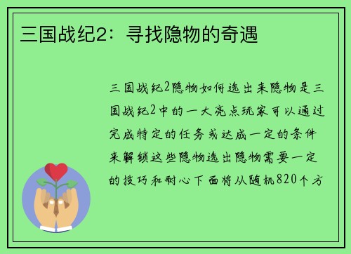 三国战纪2:寻找隐物的奇遇
